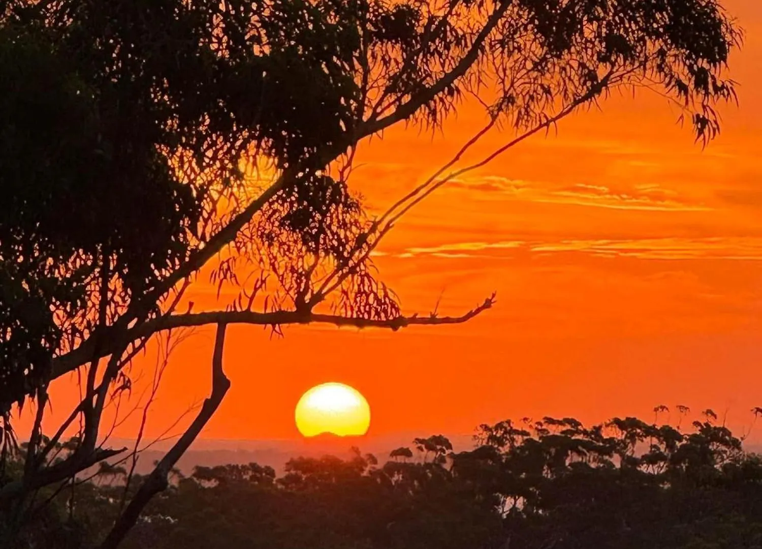 Bushys Hilltop Fraser Island Σπίτι διακοπών
