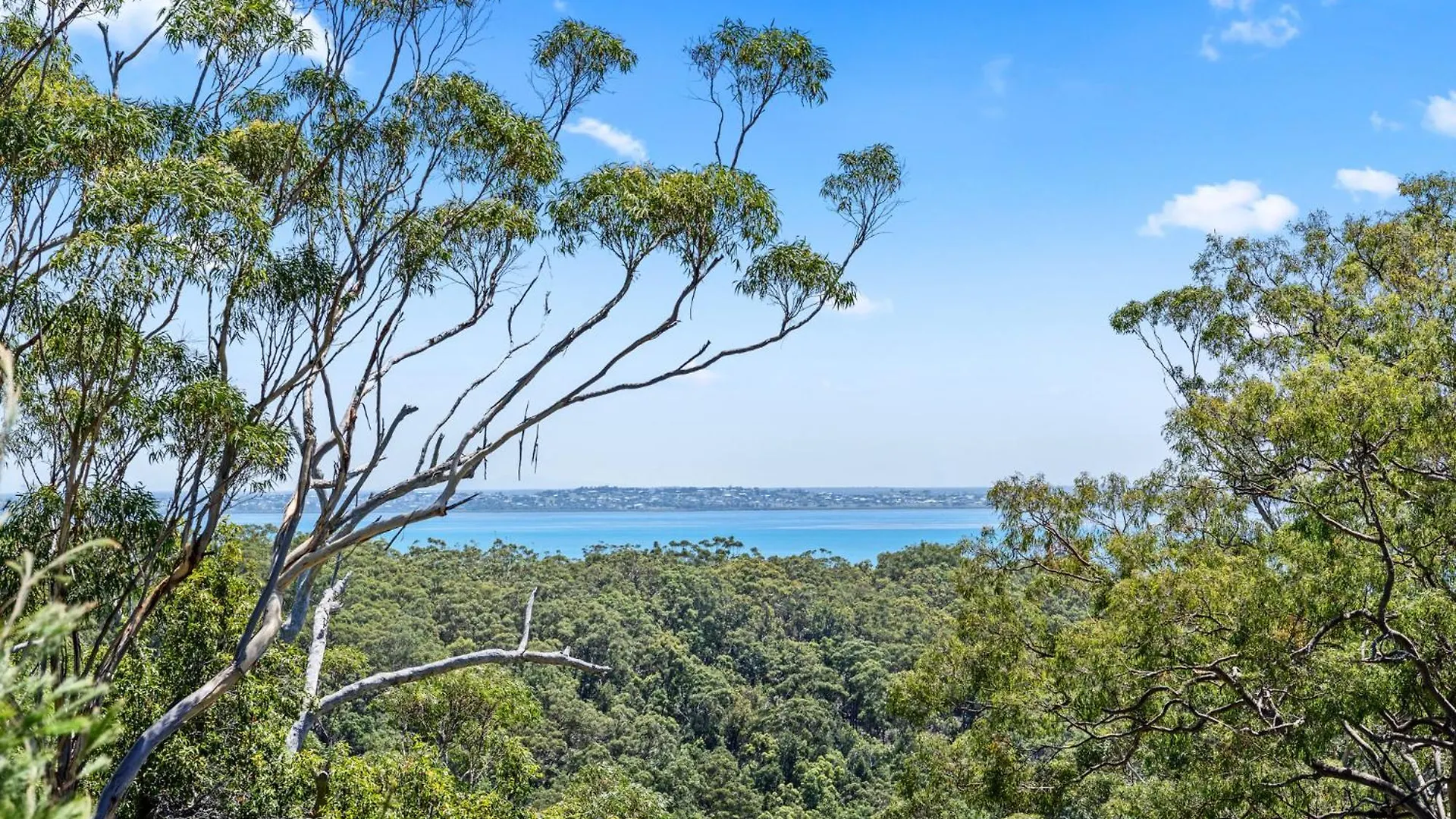 Bushys Hilltop Fraser Island Holiday home