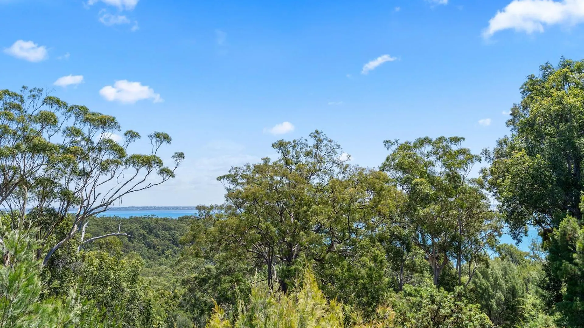 Bushys Hilltop Fraser Island 0*,