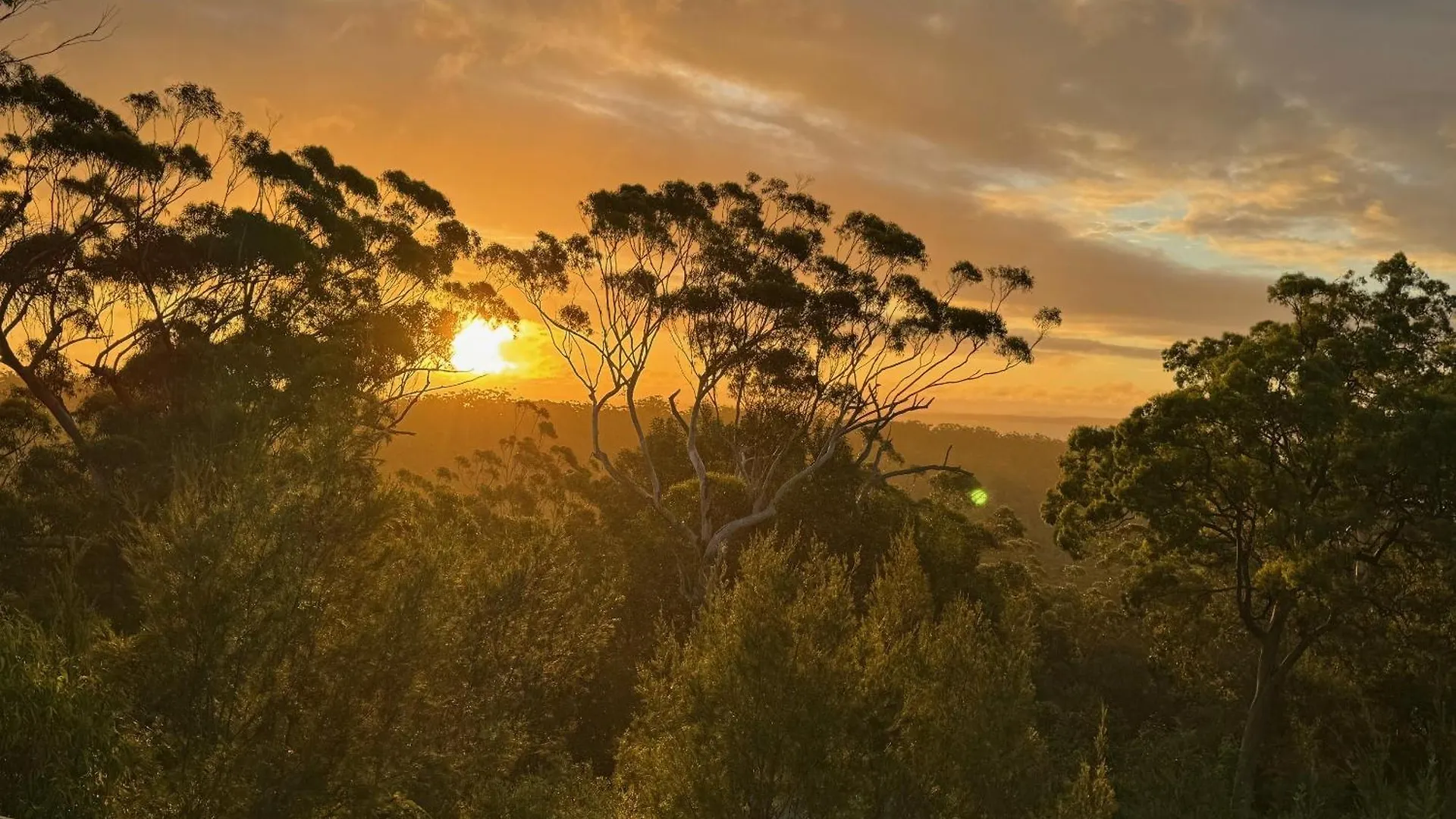 Holiday home Bushys Hilltop Fraser Island
